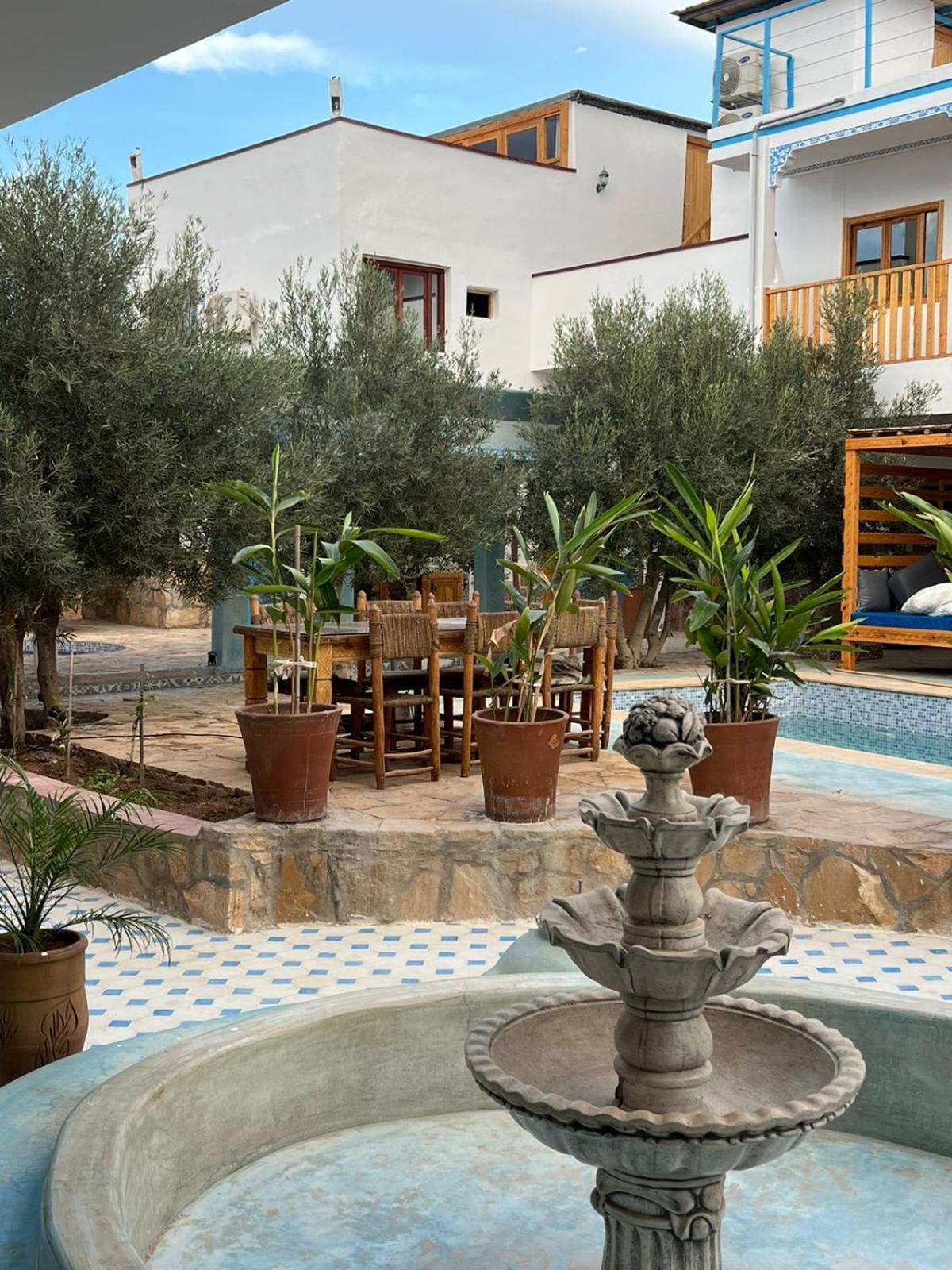 Single Fin Taghazout Surf & Stay Eksteriør billede