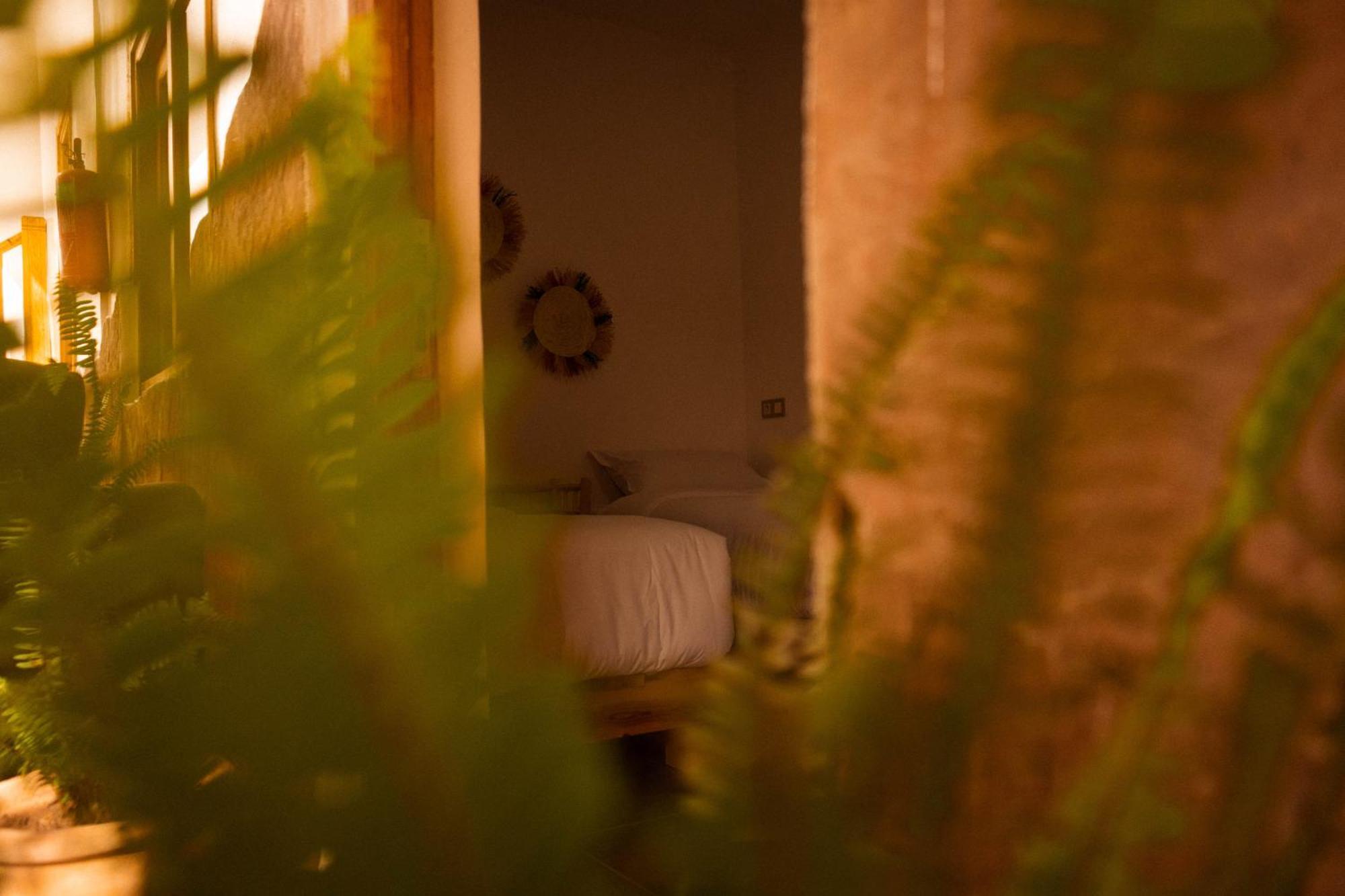 Single Fin Taghazout Surf & Stay Eksteriør billede