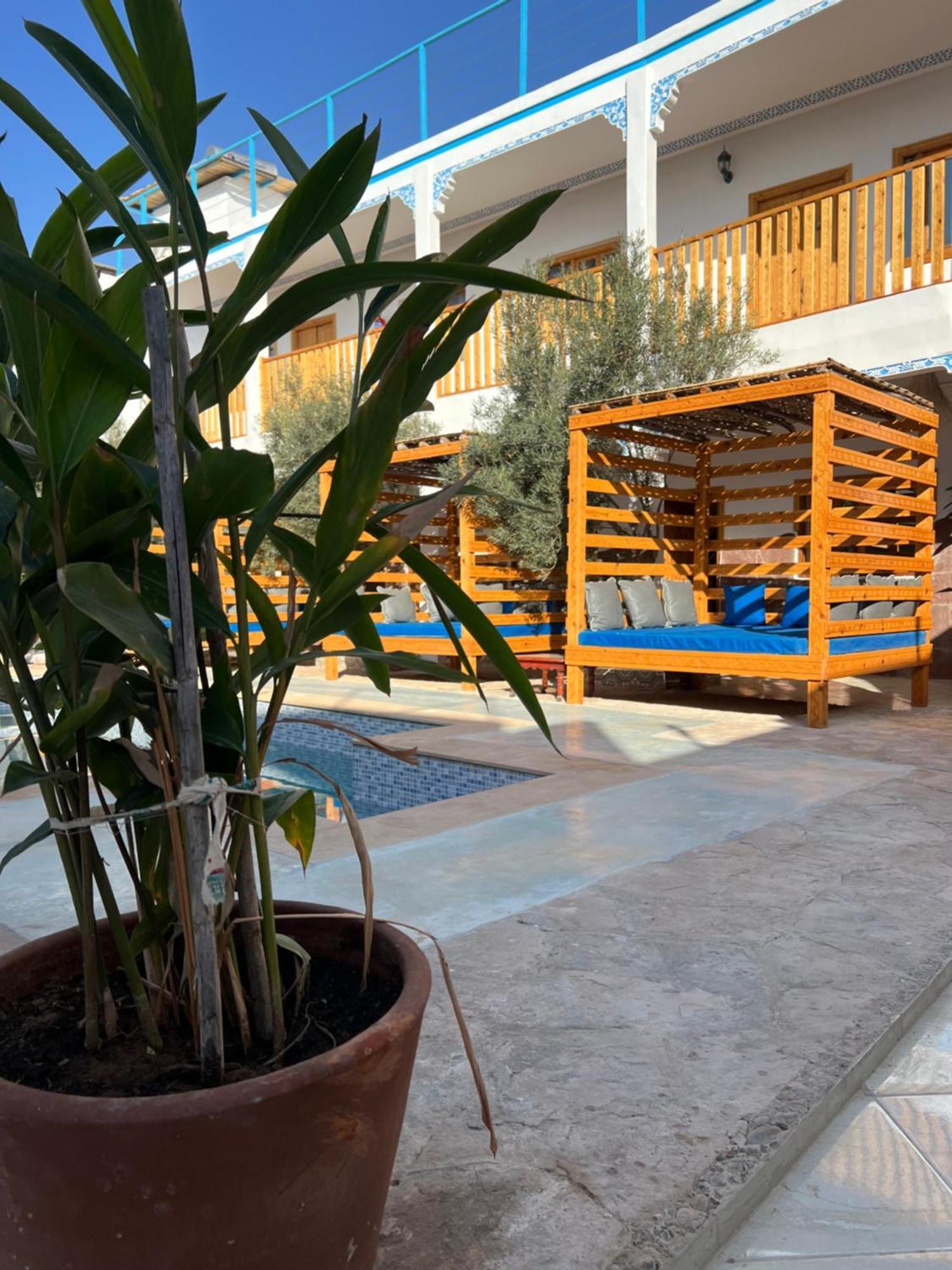 Single Fin Taghazout Surf & Stay Eksteriør billede