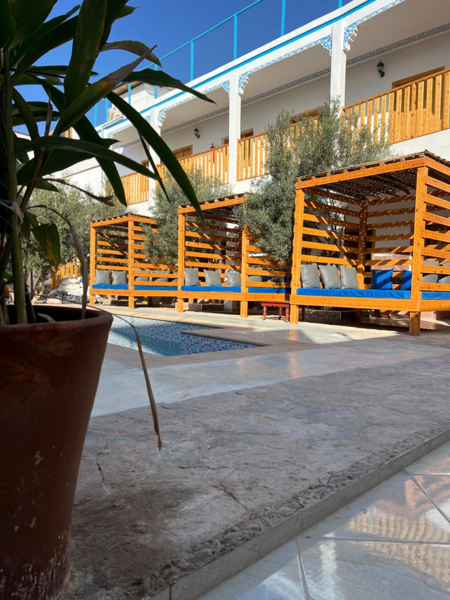 Single Fin Taghazout Surf & Stay Eksteriør billede