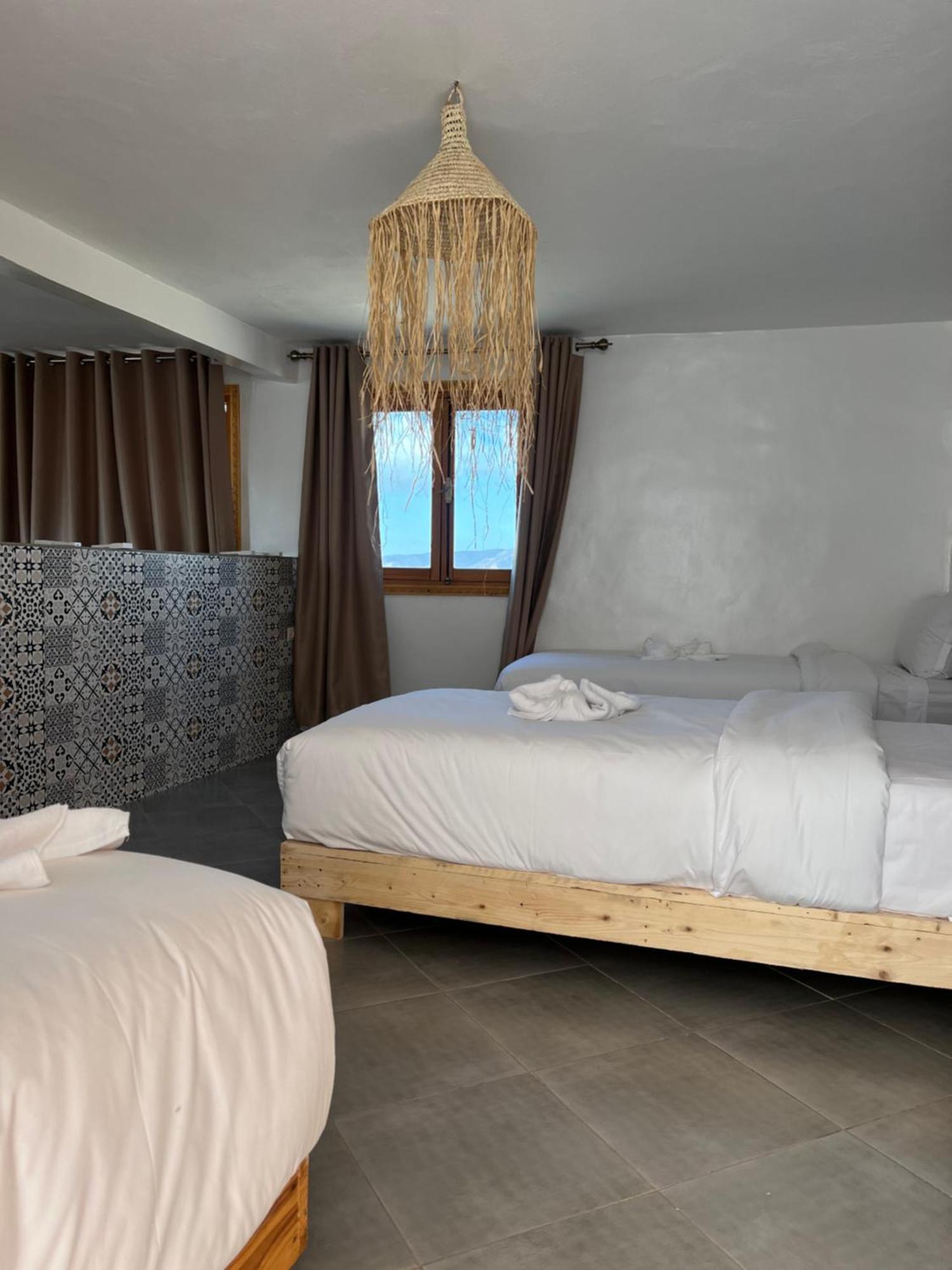 Single Fin Taghazout Surf & Stay Eksteriør billede