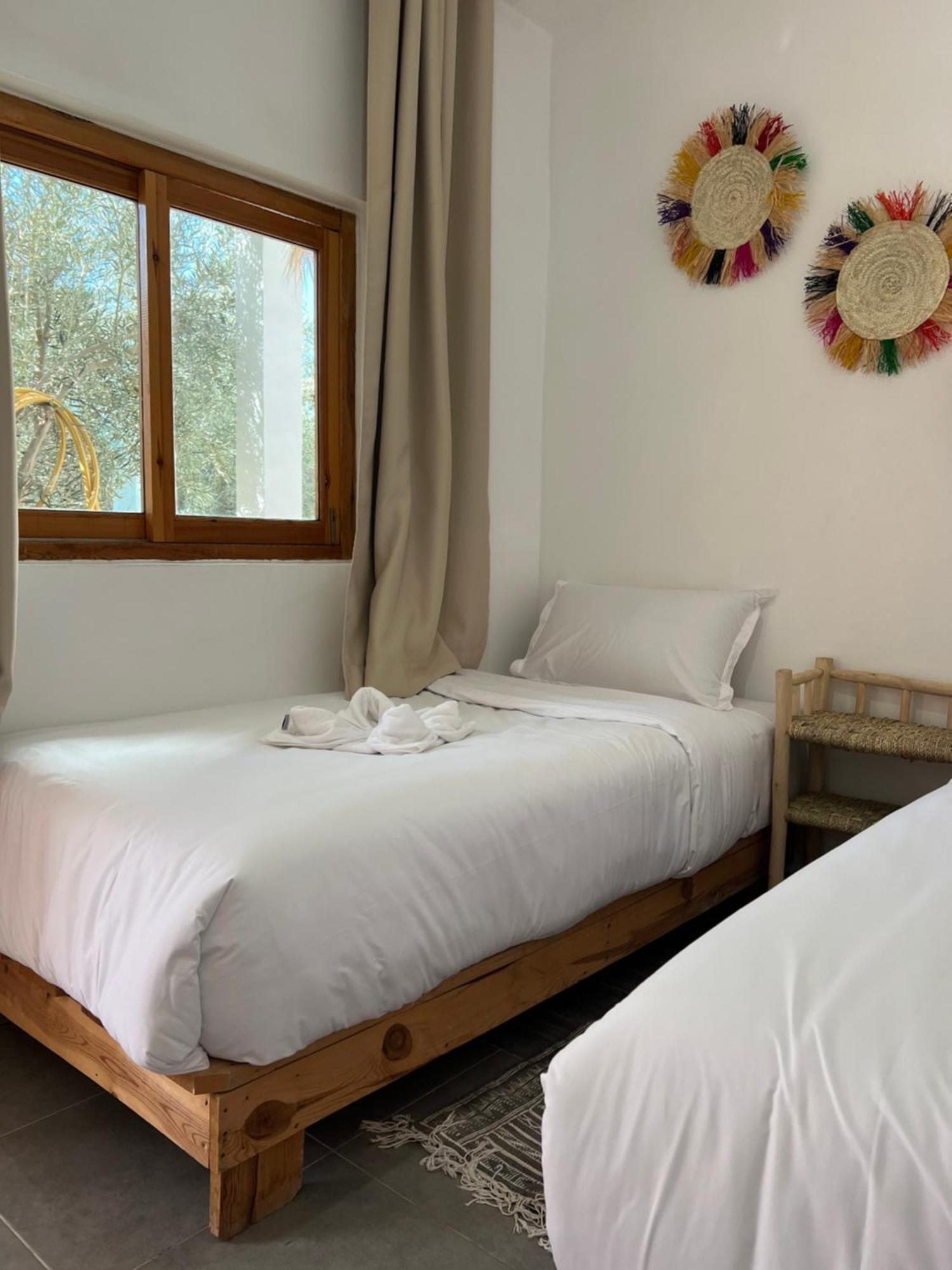 Single Fin Taghazout Surf & Stay Eksteriør billede