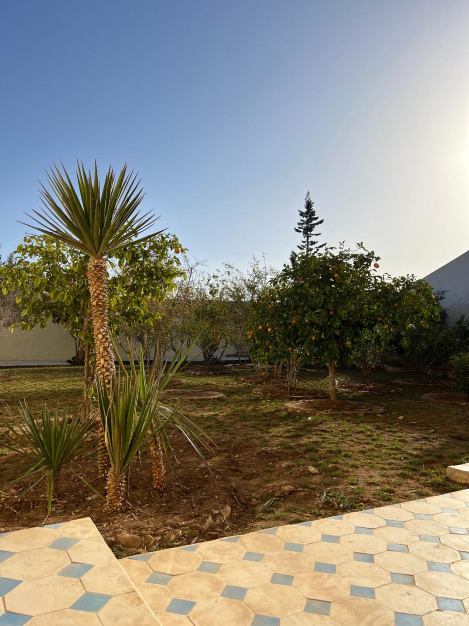 Single Fin Taghazout Surf & Stay Eksteriør billede