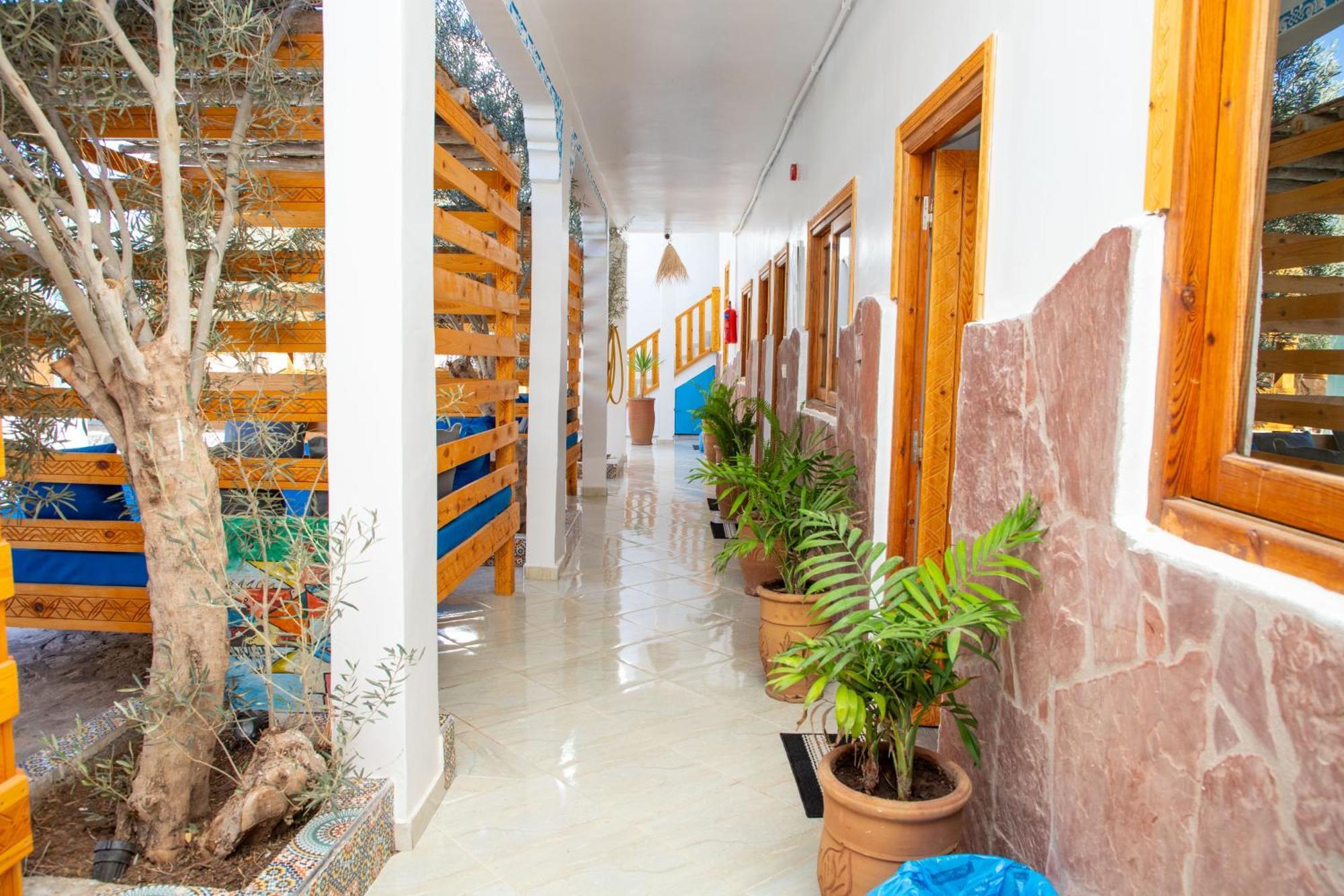 Single Fin Taghazout Surf & Stay Eksteriør billede